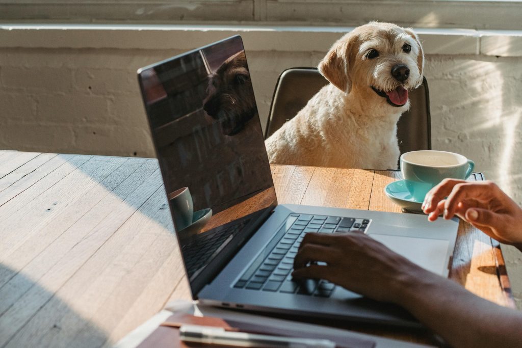 How To Be A Virtual Assistant Includes Working From Home