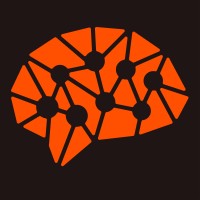 Seo Outreach Executive