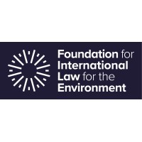 Lead Legal Strategist (methane)