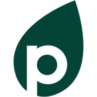 Creative Strategist For UK E Commerce Brand