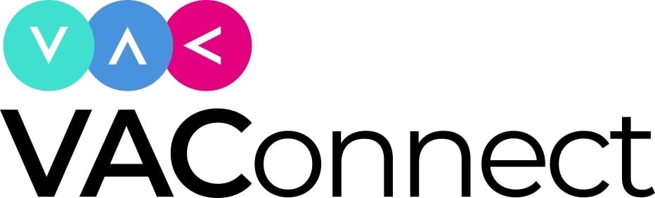 Online Business Manager / Executive Virtual Assistant