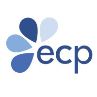Executive Project Manager & Strategic Assistant